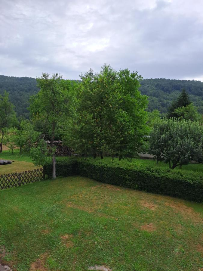 Apartman "Jagar" Ogulin Buitenkant foto